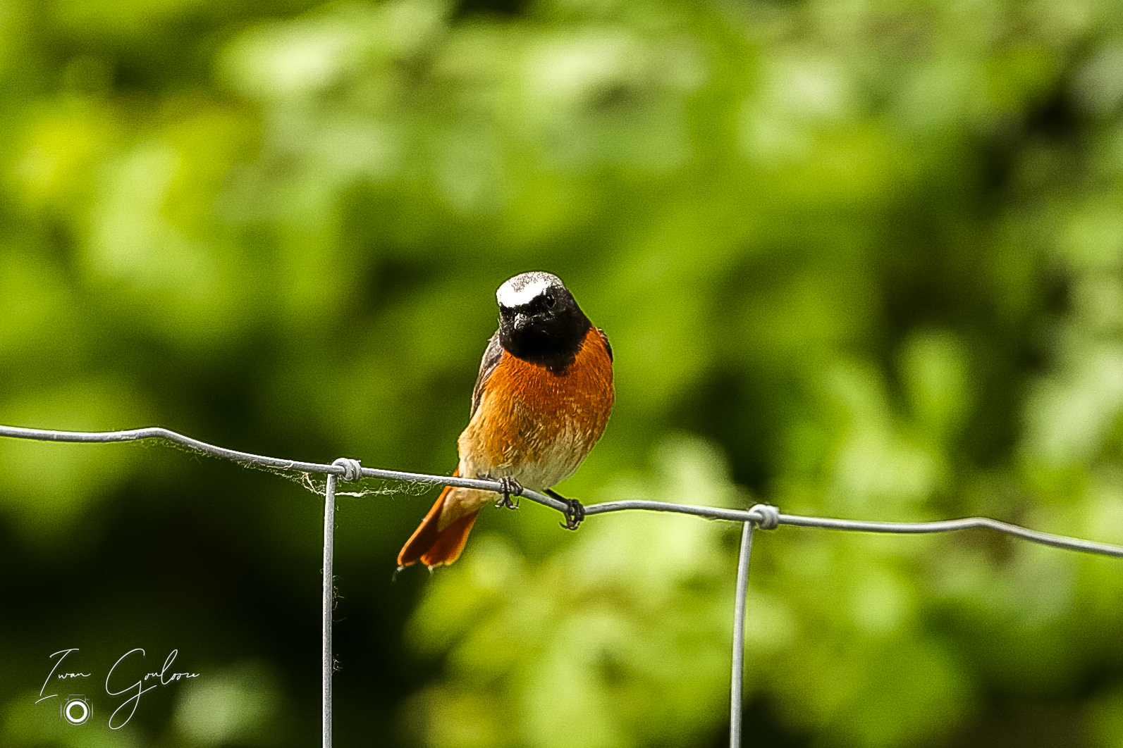 1DX45872 04 juni 2022 1200 15